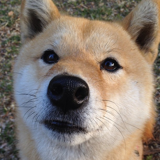 男队赛后总结积极备战未来，球队完赛总结