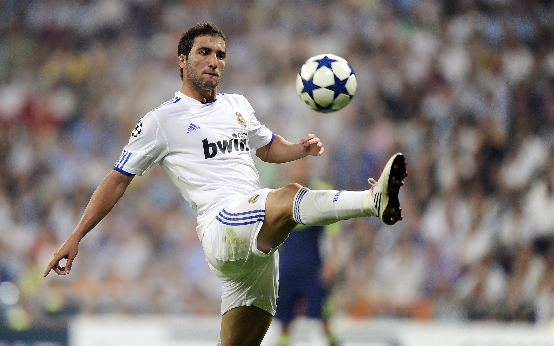 19岁荷兰新带刀后卫荷甲横空出世5大欧洲豪门疯抢,荷兰足球后卫