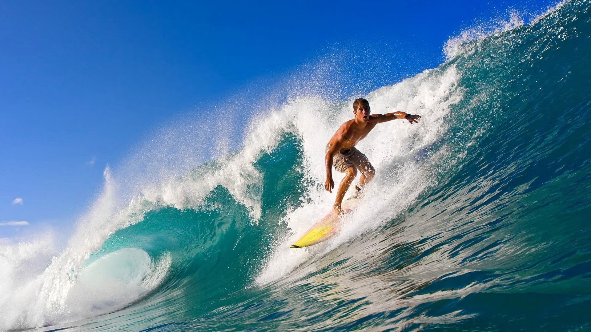 地方赛事奖金机制优化吸引更多社会力量参与竞技平台，比赛奖金发放时间标准